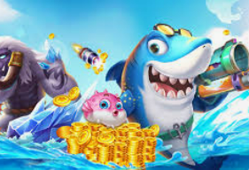 大小单双导师带赚包赔手机版