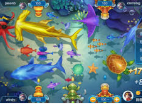 大小单双导师带赚包赔