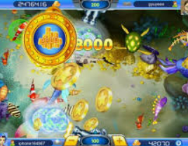 大小单双导师带赚包赔免费版