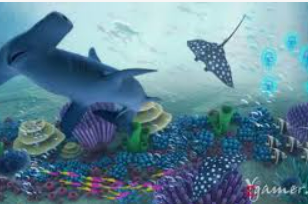 大小单双导师带赚包赔免费版